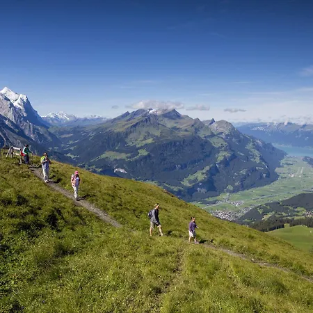 ريوتي 3* هاسليبرغ